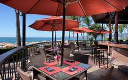 imagen de Cocina: Snack Bar_1