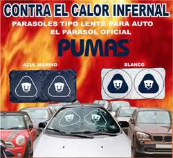 imagen de PARASOLES PARA AUTO PERSONALIZADOS_1