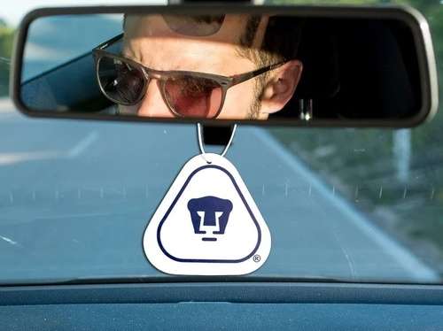 imagen de FRAGANCIAS SUTILES PERSONALIZADAS PARA AUTO_1