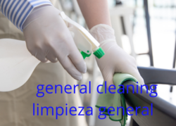 imagen de LAVADO DE COLCHON Y SALA_1