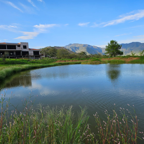 imagen de Real de Talpa_1