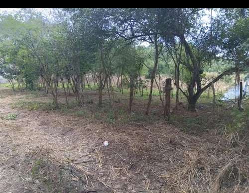 imagen de  terreno a 5 minutos de los ayalas Nayarit _1