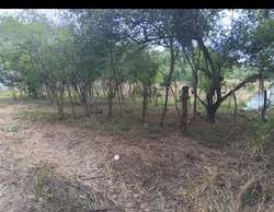 imagen de  terreno a 5 minutos de los ayalas Nayarit _1