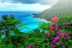 imagen de Terrenos en la Playa, Solares y Fincas!_1