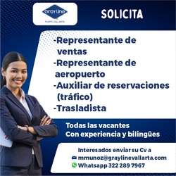 imagen de Bolsa de Trabajo Mano a Mano ofrece:_1