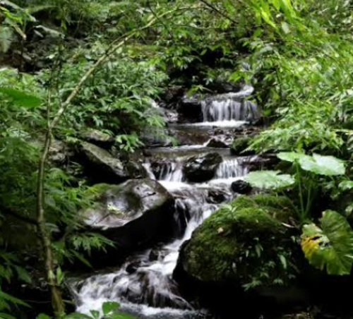 imagen de Turbinas Hidroeléctricas_1