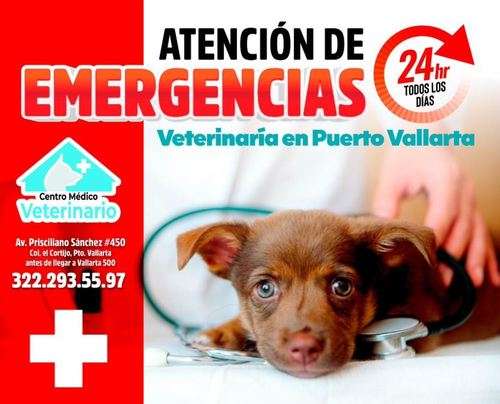 imagen de Atención urgencias 24hrs_1