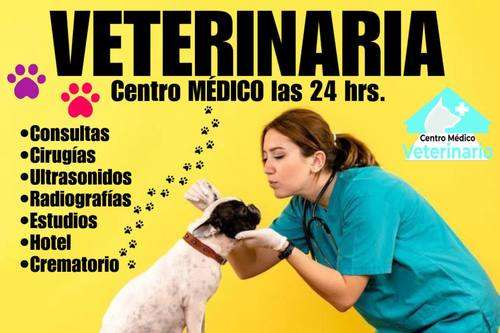 imagen de Servicio las 24 horas_1