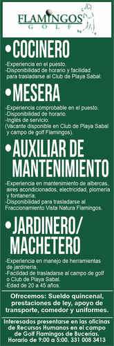 imagen de Bolsa de Trabajo Mano a Mano ofrece:_1