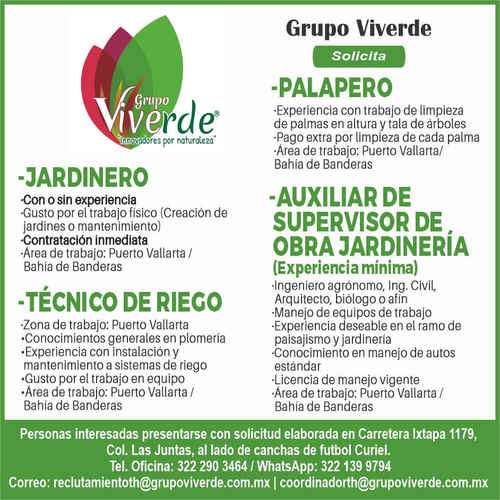 imagen de Bolsa de Trabajo Mano a Mano ofrece:_1