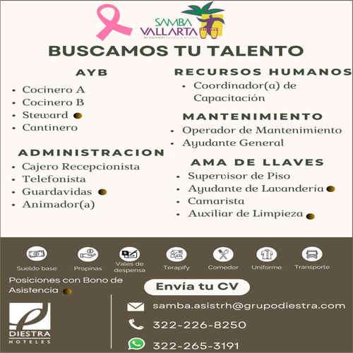 imagen de Bolsa de Trabajo Mano a Mano ofrece:_1