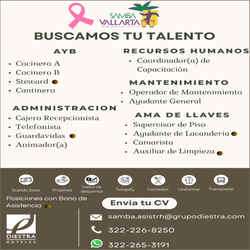 imagen de Bolsa de Trabajo Mano a Mano ofrece:_1