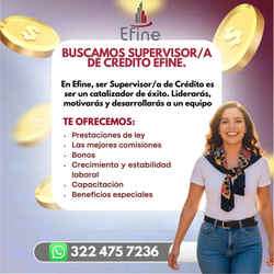 imagen de Bolsa de Trabajo Mano a Mano ofrece:_1