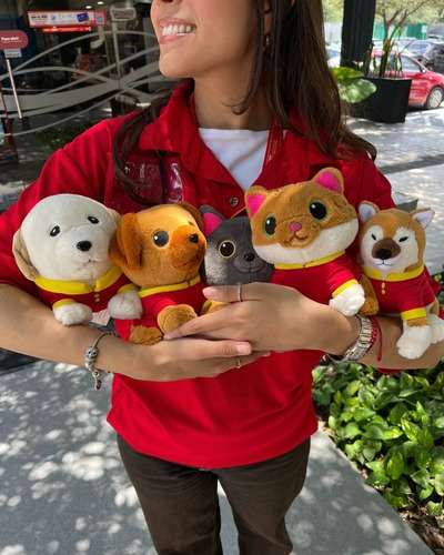 imagen de Corre por tu s PeluchOXXOS_1