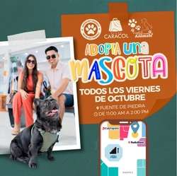 imagen de ¡Hola Vallarta!_1