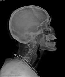 imagen de Servicio profesional_1