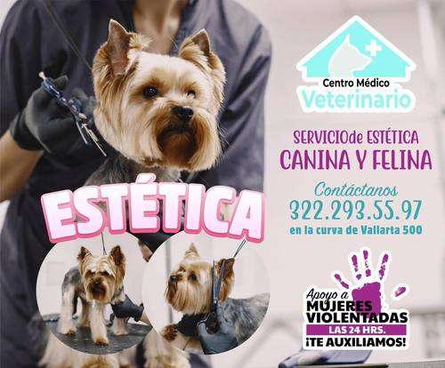 imagen de PET BOUTIQUE Y ESTETICA _1