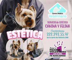 imagen de PET BOUTIQUE Y ESTETICA _1