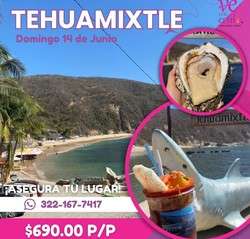 imagen de Playa de Tehuamixtle_1