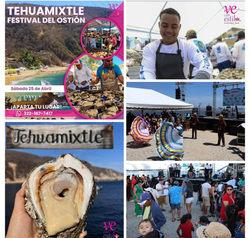 imagen de Playa de Tehuamixtle_1