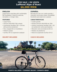 imagen de Lemond Alpe ‘d Huez / LeMond Road Bike_1
