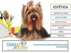 imagen de MIERCOLES DE PROMOCION EN CENTRAL ANIMAL_2