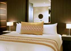 imagen de Suite Spa Imperial De Tres Recamara_2