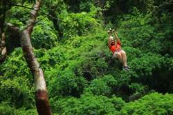 imagen de Combo RZR zipline_2