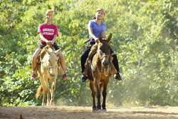 imagen de Tour de mulas_2