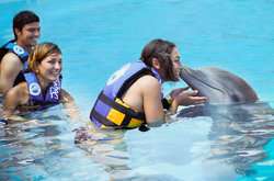 imagen de Nada con Delfines _2