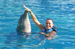 imagen de Dolphin Swim Adventure_2