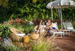 imagen de THE GRAND BLISS_2