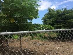 imagen de Terreno en nuevo Vallarta _2