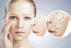 imagen de Dermatologia y Venereologia_2