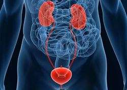 imagen de Urologia_2