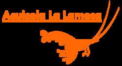 imagen de Venta de camaron para restaurantes_2