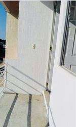 imagen de PALMA REAL _2