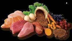 imagen de COMIDA ORGANICA PARA PERROS Y GATOS_2