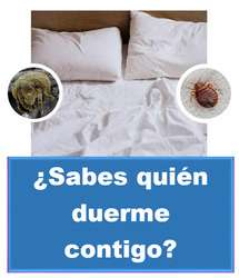 imagen de Lavado de Muebles CALEB_2