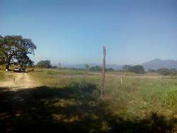 imagen de EL ZANCUDO DELEGACION DE  PUERTO VALLARTA_2