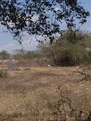 imagen de VENTA TERRENO EN IXTAPA PUERTO VALLARTA_2