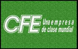 imagen de TAPETES PERSONALIZADOS_2