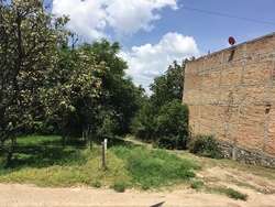imagen de Terrenos Frente Al Bosque Del Nixticuil_2