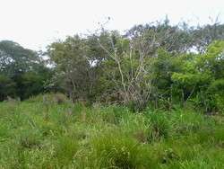 imagen de Terreno Gavilanes 2_2