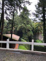 imagen de HERMOSA Y SEGURA RESIDENCIA EN CDMX_2