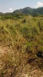 imagen de terreno fraccionamiento la haienda_2