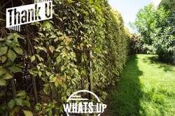 imagen de Casa Cotsco_2