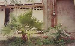 imagen de DE OPORTUNIDAD APROVECHE, VENDO CASA_2