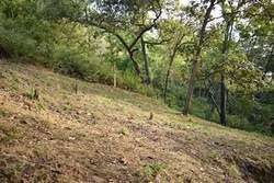 imagen de Terreno en venta, a 4 minutos del Jardin Botanico - Boca de Tomatlan_2