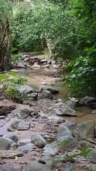 imagen de Terrenos para cabanas_2